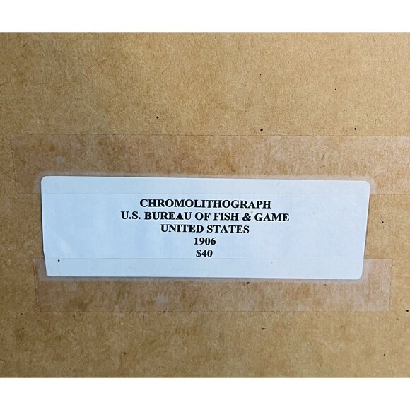 1905 A. HOEN & CO. ORIGINAL 3 FISH LITHOGRAPH, circa 1905 - Picture 5 of 5